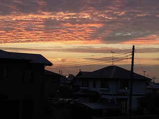 DSC_0056.JPG