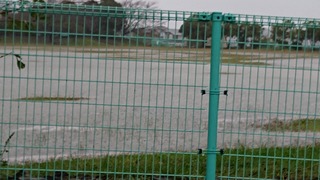 DSC_0972.JPG