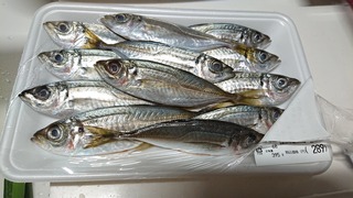 DSC_1118.JPG