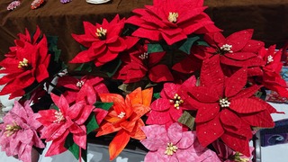 DSC_1149.JPG