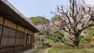 DSC_1440.JPG