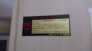 DSC_1489.JPG