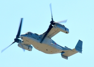 DSC_5326.jpg
