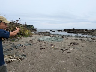 PXL_20240702_063730024.jpg