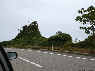 PXL_20240702_070632278.jpg