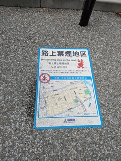 PXL_20241015_040306519.jpg