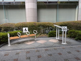 PXL_20241015_041101557.jpg