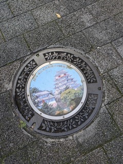 PXL_20241016_025135771.jpg