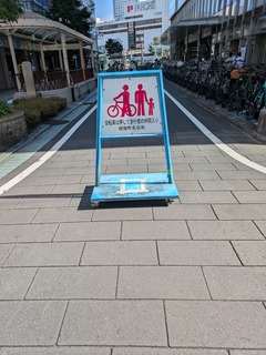 PXL_20241017_040339105.jpg