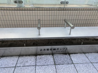 PXL_20241017_040449829.jpg