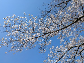 PXL_20250404_020818869.jpg
