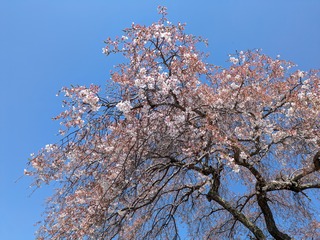 PXL_20250404_021537128.jpg