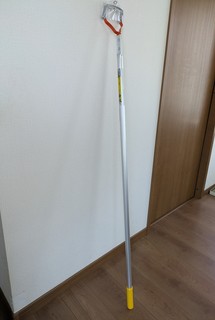 PXL_20250520_035649260.jpg