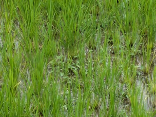 PXL_20250620_055911208.jpg