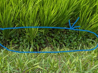 PXL_20250707_081706210 1.jpg
