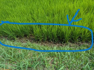 PXL_20250708_000807066 2.jpg
